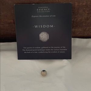 PANDORA Essence Wisdom Bead Charm